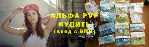 apvp Алзамай