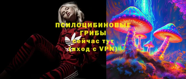 apvp Алзамай