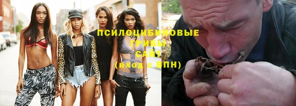 apvp Алзамай