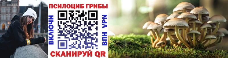 Галлюциногенные грибы GOLDEN TEACHER  дарнет шоп  Ак-Довурак 