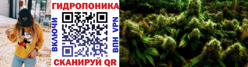МАРИХУАНА семена blacksprut ссылка Ак-Довурак